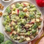 Healthy Cranberry Broccoli Salad with Creamy Greek Yogurt Dressing Recipe