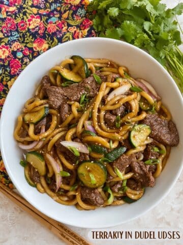 Teriyaki Beef Udon Noodles Recipe