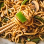 Vegetarian Stir Fry Udon Noodles Recipe