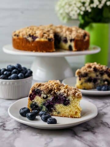 Blueberry Lemon Sour Cream Coffee Cake with Streusel Topping Recipe