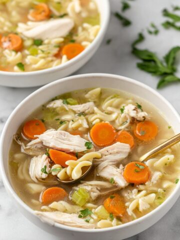 Turkey Orzo Soup Recipe