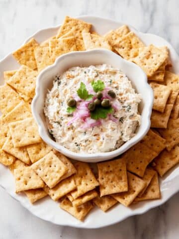 Salmon Dip Recipe