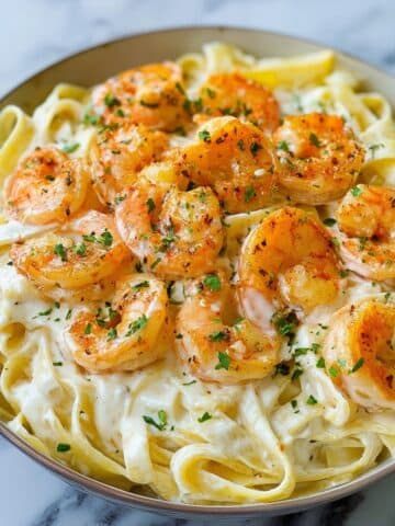 Shrimp Alfredo Recipe