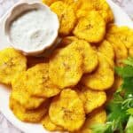 Southern Fried Squash Recipe