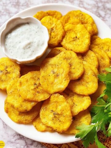 Southern Fried Squash Recipe