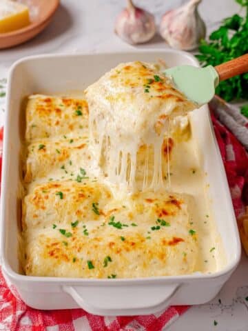Chicken Alfredo Lasagna Rollups Recipe