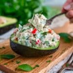 Cilantro Lime Chicken Salad Recipe