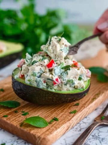 Cilantro Lime Chicken Salad Recipe