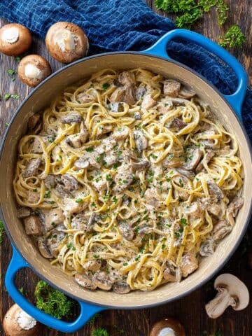 Creamy Chicken Mushroom Pasta with Alfredo Sauce Recipe