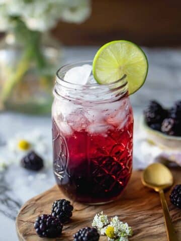 Sparkling Blackberry Soda Recipe