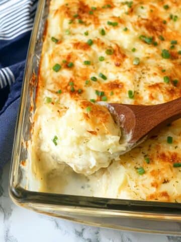 Cheesiest Baked Macaroni and Cheese Shells Recipe