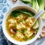 Wonton Soup Recipe