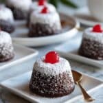 Instant Pot Chocolate Muffins Recipe