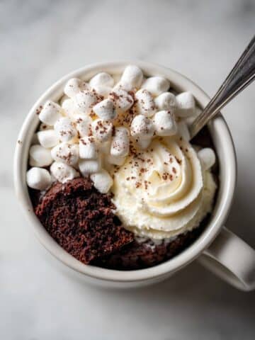 Hot Chocolate Mug Cake Recipe with Hot Cocoa Mix Recipe
