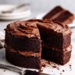 Best Matilda's Chocolate Cake Recipe - Matilda Cake Recipe