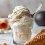 Creamy Ninja Creami Frozen Yogurt with Honey and Vanilla Recipe
