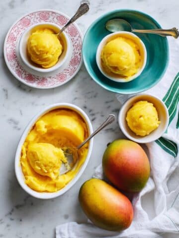 Mango Frozen Yogurt Recipe