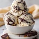 Moose Tracks Ice Cream Recipe