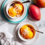 Mango Sorbet Recipe