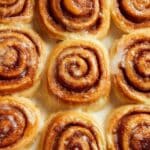 Gingerbread Cinnamon Rolls Recipe