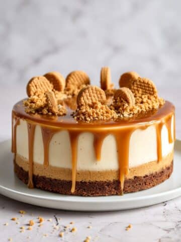 Lotus Biscoff Cheesecake Recipe